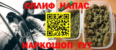 mdpv Кимры