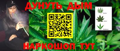 прущая мука Кингисепп