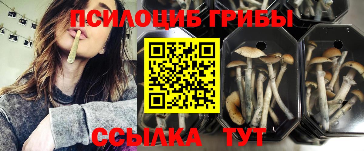 Псилоцибиновые грибы ЛСД Кузнецк